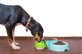 See more of dog food go on facebook. Go Daily Defence Dog Food Review Can It Help Defend Your Dog S Health Petfoodio Com