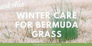 Pin On Crabgrasslawn Com