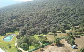 Como consecuencia del intenso incendio que comenzó la tarde del martes en el paraje volcanes dentro del bosque la primavera, ubicado en tlajomulco de zuñiga, se formaron. Bosque La Primavera Cronica De Sociales