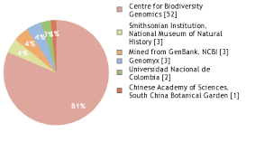 Image result for Eriosema burkei