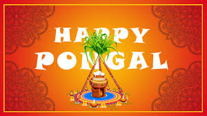 Pongal Status 2021 Bhogi Status Happy Pongal Whatsapp Status Video Pongal Status Tamil Telugu Youtube We have added some selected pongal video to make your whatsapp status more attractive.