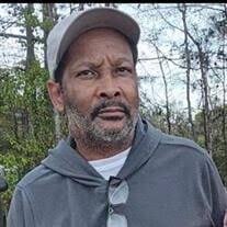 Steven Austin Obituary (2025)