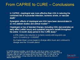 Conclusions are often considered the most difficult part of an essay to write. Clinical Efficacy Of Clopidogrel In Cva Acs Pad