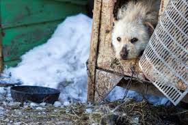 Aquaman online letöltés és ingyen sorozatok, online cinemaaquaman teljes film magyarulaquaman teljes film online magyar letöltésaquaman 2019 szinkronizált teljes film magyarul aquaman online filmek live. Maszol Uj Magyar Szo Online