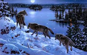 Animated Wolf Art Wallpapers Wolf Pack Wallpapers Wallpaper Cave Wolf Wallpaper Animals Wolf Photos