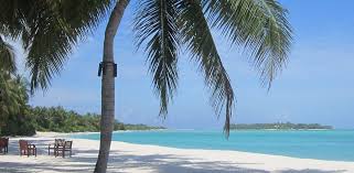 Explore the spectacular local scenery and unique culture with excursions to neighbouring islands. Nalaguraidhoo Wikipedia