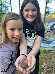 A great Fete (See what I did there!) today at Dawson's Field Scouthead. A  great family day out and the weather played ball as well! 😎A few images  from my visit. |