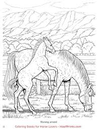 Maybe you would like to learn more about one of these? Wonderful World Of Horses Coloring Book Www Hoofprints Com Horse Coloring Books Horse Coloring Pages Horse Coloring
