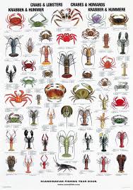 Crabs Lobsters Krabber Hummere Krabben Hummer Fish Chart Crab And Lobster Sea Fish