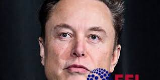 Abbey Rangers 1-1 Woodley United Ladies: Kestrels held to draw