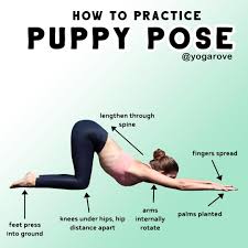 How To Practice Puppy Pose Follow Yogarove Follow Yogarove Puppy Pose Is Actually A Great Variation In 2020 Puppy Pose Yoga For Beginners Puppy Pose Yoga