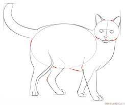 Lsmodels, le spécialiste du train miniature et du modélisme belge. How To Draw A Realistic Cat Step By Step Drawing Tutorials For Kids And Beginners Cat Drawing Tutorial Drawing Tutorial Cat Drawing