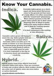 Indica Vs Sativa Cbd Vs Thc