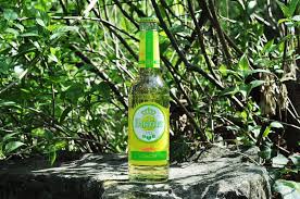 Warsteiner Ginger Bei Brandnooz Bewerten Erfrischende Getranke Getranke Bier