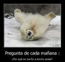 Me fui a casa a dormir un rato y lo hice tan profundamente que no desperté hasta por la noche. Dopl3r Com Memes Pregunta De Cada Manana Por Que No Me Fui A Dormir Antes