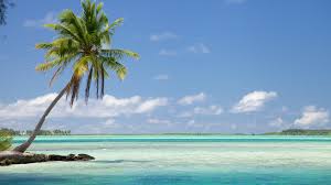 Check spelling or type a new query. Bora Bora Pictures View Photos Images Of Bora Bora