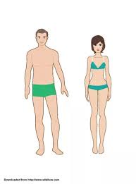 But wait till you see the amount of fun they have dressing them up too. 3 Ways To Make Paper Dolls Wikihow