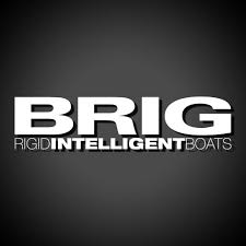 Logo BRIG