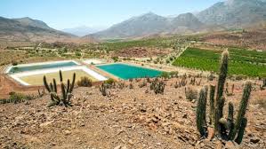 Si antes de entrenar has hecho tu comida correspondiente (hora y media más menos) no la media hora de después de entrenar es la mejor, o eso creo, por lo que ha dicho delgado. Onu Llama A Chile A Priorizar El Derecho Al Agua Y A La Salud Antes Que Los Intereses Economicos Meganoticias