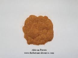 Image result for Hypoxis monanthos