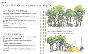 Rainforests Caldera Wildscapes