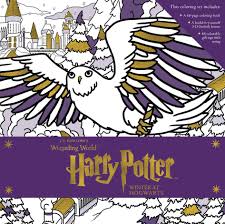 Harry potter is a series of fantasy novels written by british author j. Harry Potter Winter At Hogwarts A Magical Coloring Set Insight Editions 9780763695897 Amazon Com Books