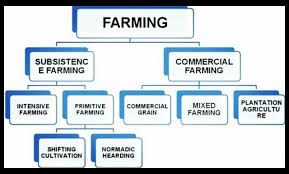 Explain The Types Of Agriculture With The Help Of A Flow