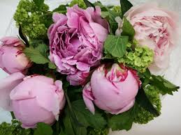 We are a wholesaler of exotic tropical flowers. Peony Flower Wholesale In Singapore