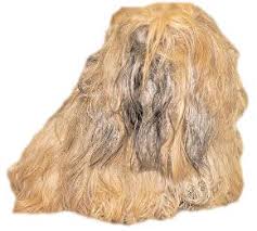 Preventing mats is generally easier than trying to deal with them after they've formed. Matted Dog Ten Tips For Removing Mats From Your Dog S Coat