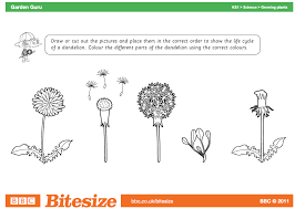 Page Not Found Homeschool Lounge Plant Life Cycle Worksheet Plant Life Cycle Life Cycles