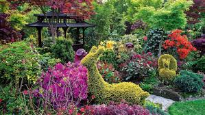 Find & download free graphic resources for topiary. Creative Topiary Ideas Plants And Styles Stuff Co Nz