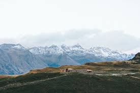 Meet Your Guide — Cabot Discovery Tours