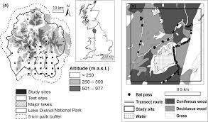 Learn vocabulary, terms and more with flashcards, games and other study tools. Multiscale Presence Only Habitat Suitability Models Fine Resolution Maps For Eight Bat Species Bellamy 2013 Journal Of Applied Ecology Wiley Online Library