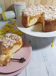 Amarettini Kuchen Mit Aprikosen Tinas Kuchenzauber Lebensmittel Essen Kuchen Amarettini