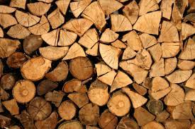 This is called the sapwood. A User Friendly Guide To Identifying Types Of Firewood The House Shop Blog