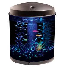 Pet Supplies Pet Accessories And Many Pet Products Petsmart Small Fish Tanks Glow Fish Glofish