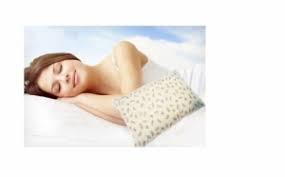 • totodata, au nivel ridicat de fermitate care contribuie la formarea unei pozitii corecte si sanatoase in timpul orelor de odihna. Set Din 2 Perne Din Puf De Gasca Patrate 70cm 70cm Si 2 Arhivat Pg14