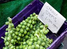 How To Start A Health Food Store How To Start A Business Resources For Entrepreneurs Gaebler Ventures Chicago Illinois
