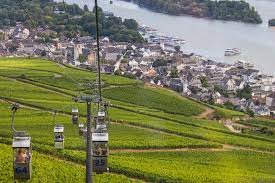 Hike to the different viewpoints or to the other chairlift, walk down to rüdesheim through the vineyards or return by cable car. Tourentipps Hotel Trapp