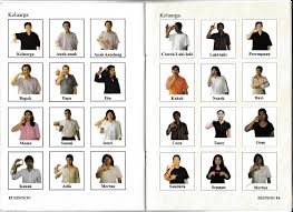 Bahasa isyarat adalah bahasa yang mengutamakan komunikasi manual, bahasa tubuh, dan gerak bibir, bukannya suara, untuk berkomunikasi. Bahasa Isyarat My Book