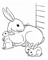 More images for lapin dessin » Coloriage De Lapins Coloriages Pour Enfants