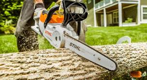 Stihl Chainsaw Prices Tips And Reviews In 2021 The Saw Guy
