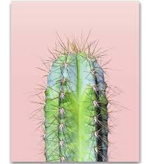 Watercolor flowers desert art art painting cactus paintings watercolour inspiration flower art floral watercolor watercolor projects floral art. Amazon Com Cactus Print Minimalist Art Minimalist Print Cacti Modern Art Cactus Art Print Pink And Green Desert Art Print Wall Art Cacti Cactus Art Print Cactus Photography Photo Print 8 X 10