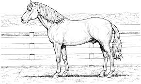 Horse Coloring Pages Horse Coloring Horse Coloring Pages Horse Coloring Books