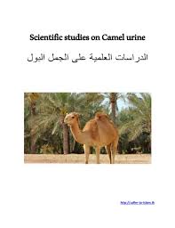 Uf researchers find that 'peanut butter' test can help diagnose alzheimer's disease. Scientific Studies On Camel Urine
