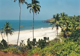 Goa Summer 2022