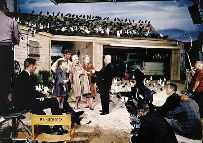 The Birds (1963 film) | Alfred Hitchcock, Cast, Horror, & Thriller |  Britannica