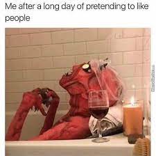 Finally Some Silence Funny Dark Sense Of Humor Funny Memes Funny Relatable Memes