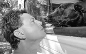 KEEPING OUR PETS SAFE THE STORY OF HOGGIE ANOTHER CHANCE TO WIN A $500  PETCO SHOPPING SPREE! A LETTER OF THANKS FOR SAVING OUR K