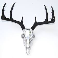 Allmodern Buck Skull Wall Decor In 2021 Deer Skull Art Skull Wall Decor Painted Deer Skulls